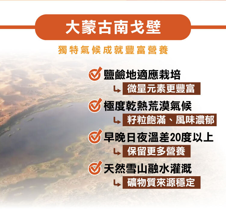 輕靚美南瓜籽產地