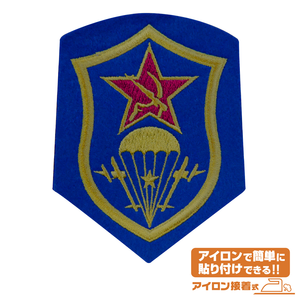 遊撃隊 ﾜｯﾍﾟﾝ COSPA 100526