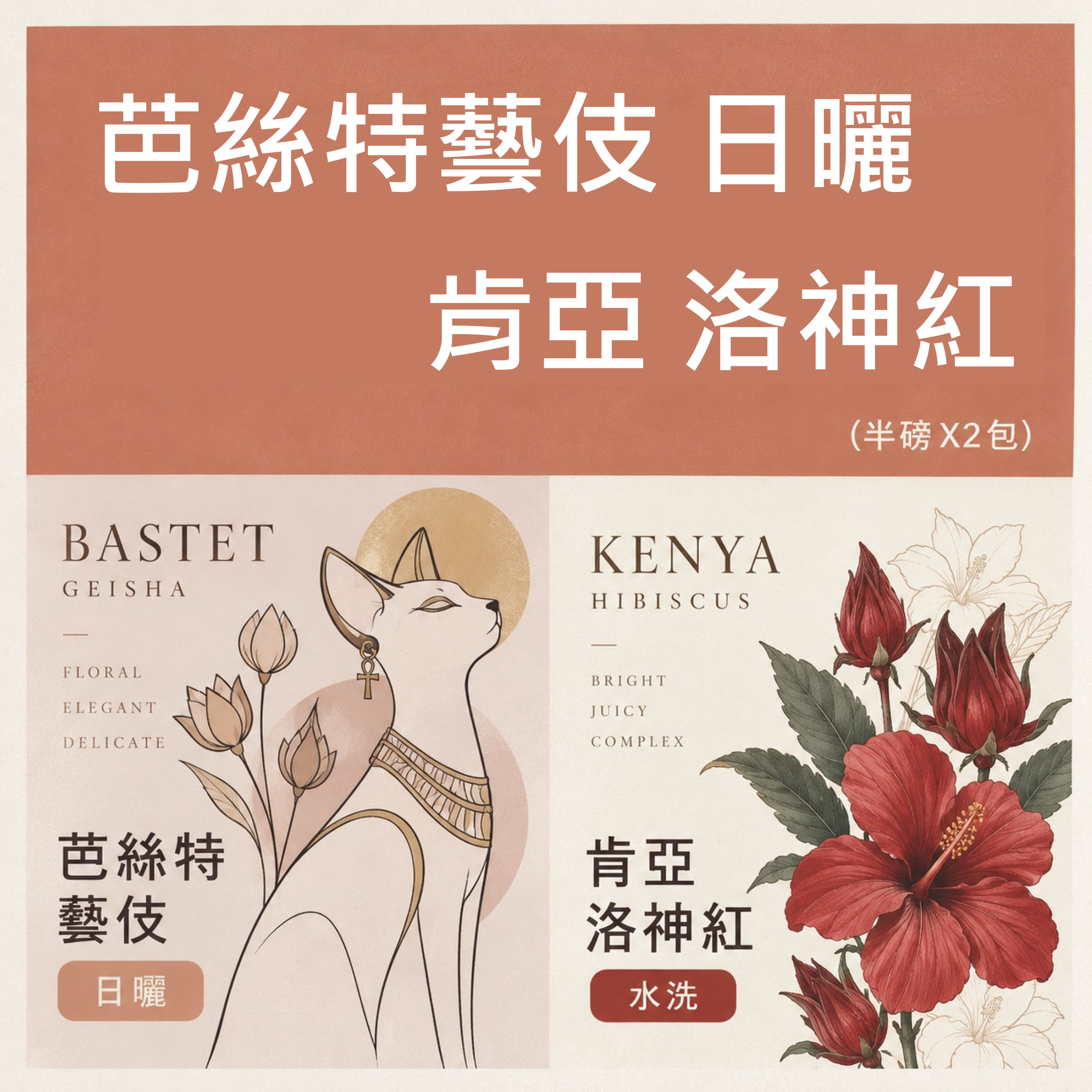 芭斯特藝伎 日曬/ 肯亞 洛神紅 二件組