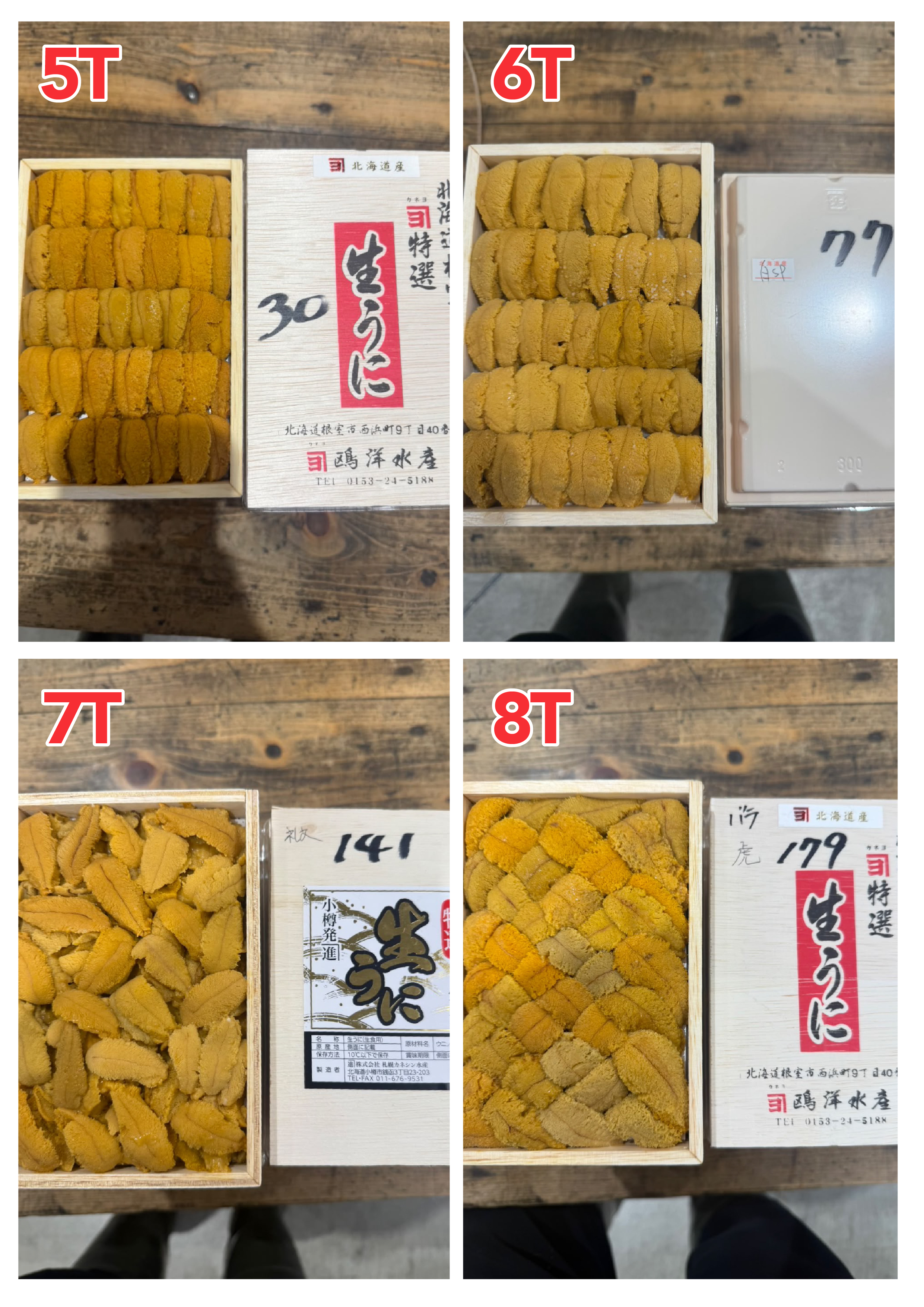 【指定海膽推薦】每天更新 (限即日落單, 翌日送)
