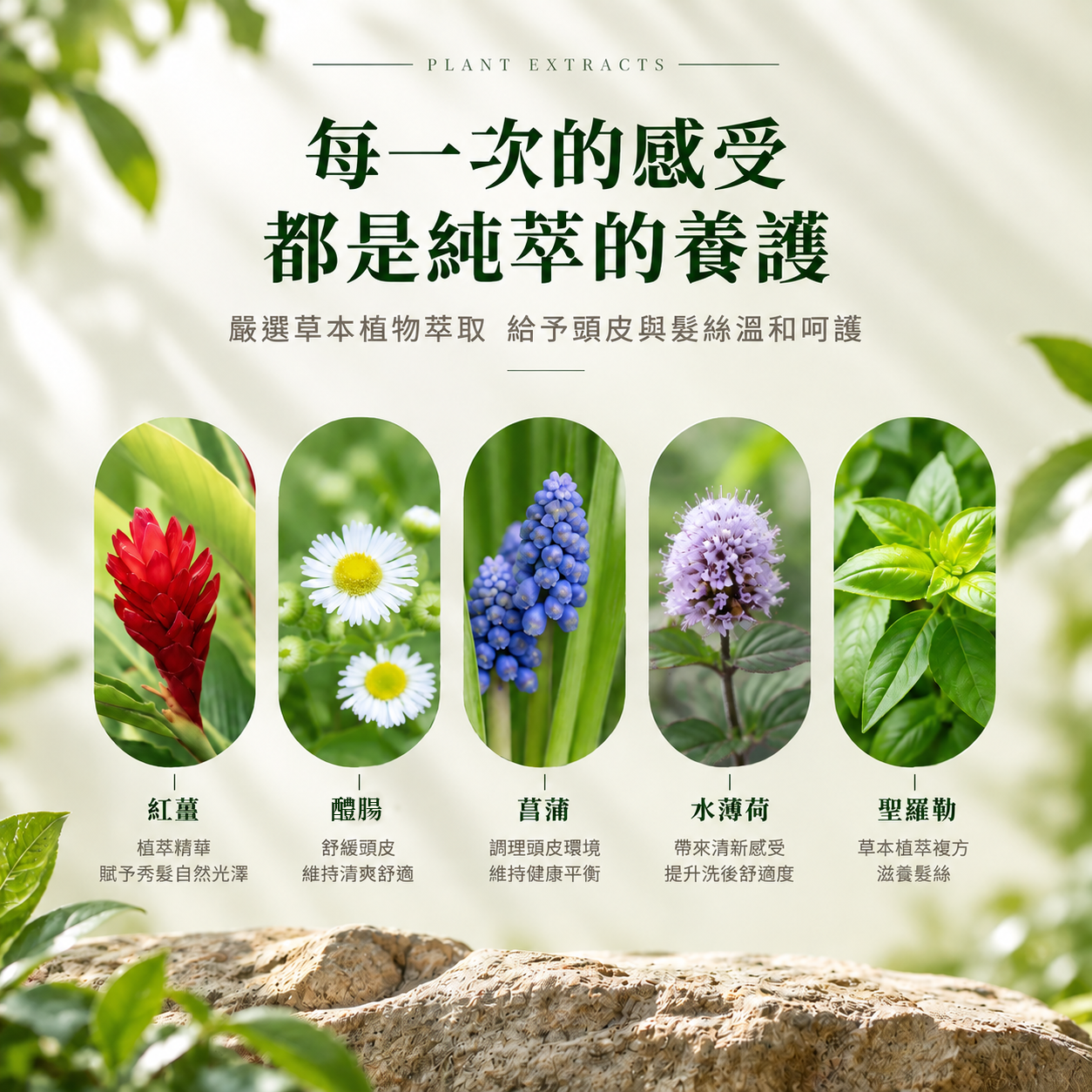 Cafune 卡沐淨衡護髮素