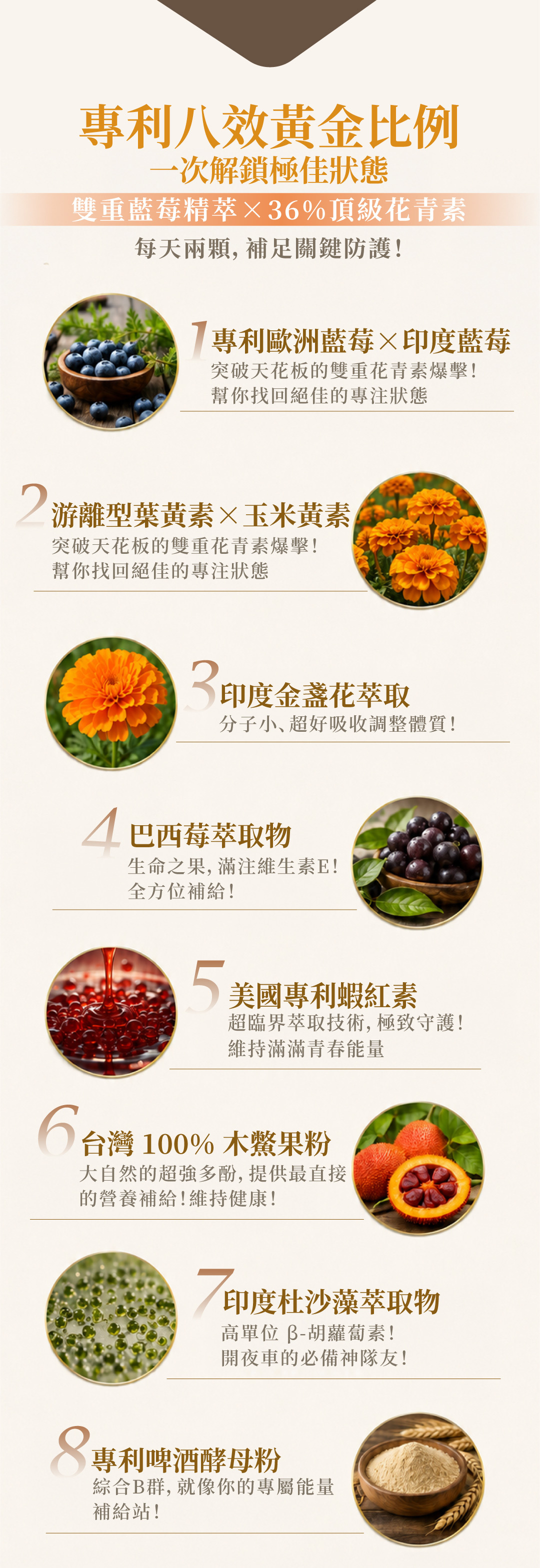極金萃EX八效黃金配方，添加藍莓花青素、游離型葉黃素、金盞花、巴西莓、蝦紅素、木鱉果、杜沙藻與啤酒酵母