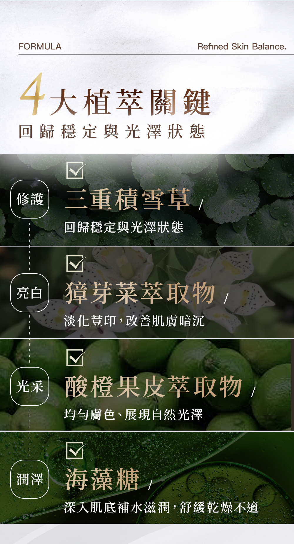 茶萃雙酵控油精華水四大植萃成分,包含積雪草、獐芽菜、酸橙果皮與海藻糖