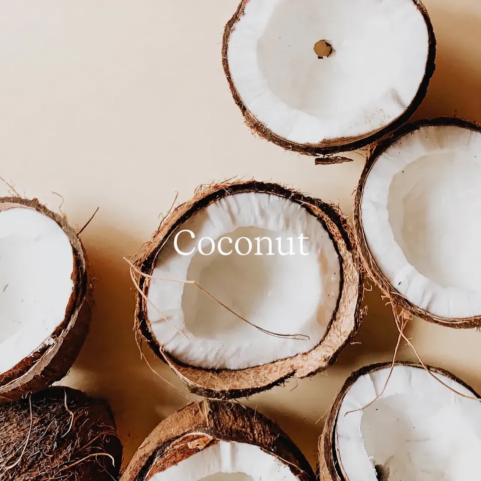 Coconut — Midsummer Dream