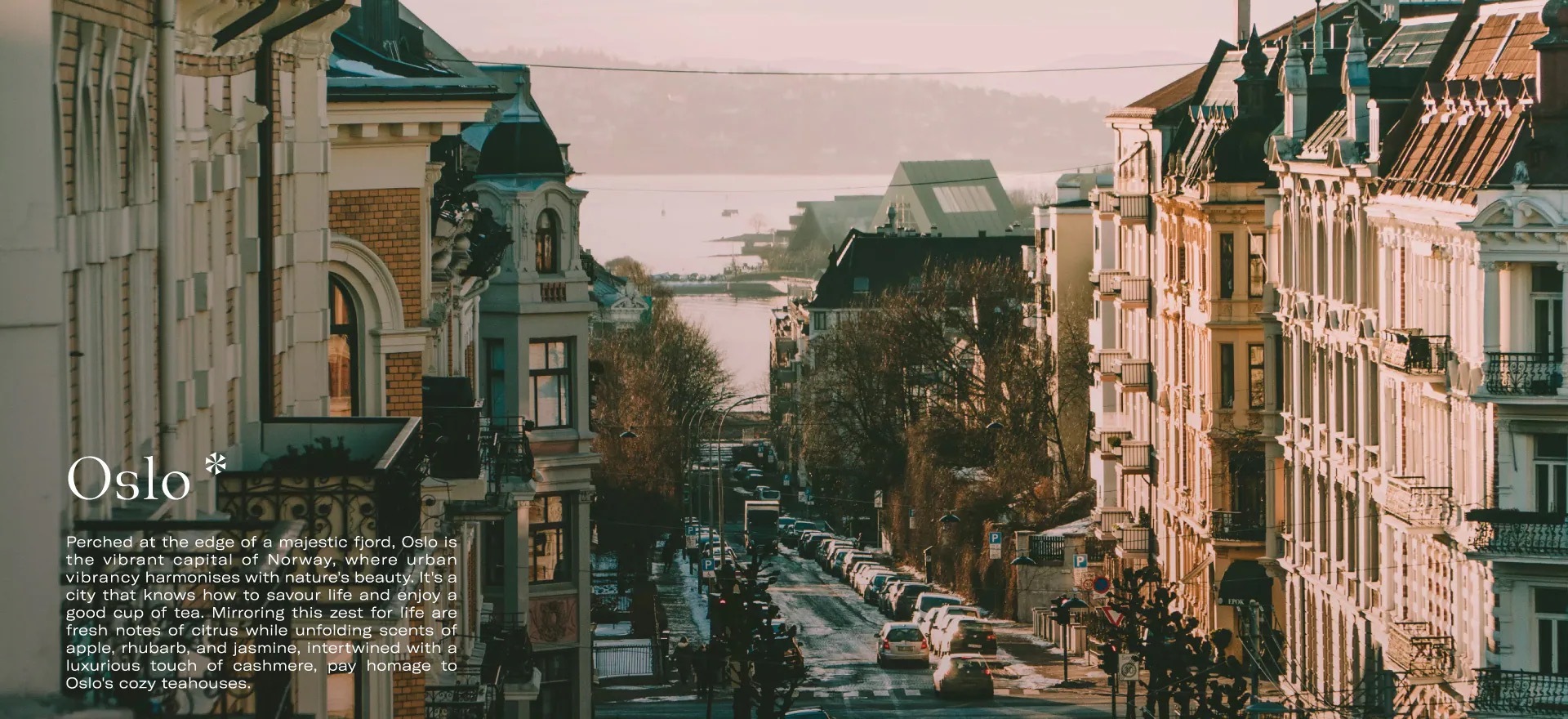Oslo streets overlooking the water