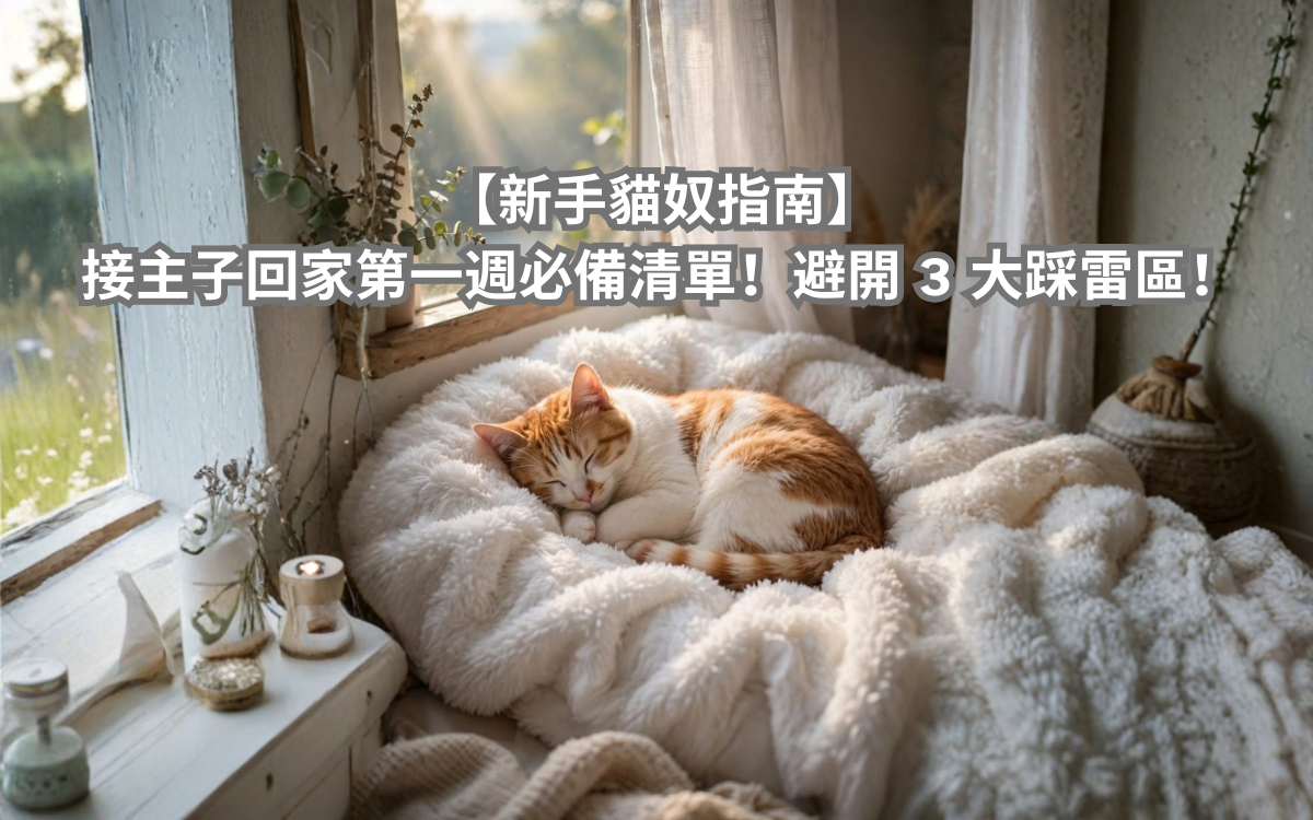 【新手貓奴生存指南】接主子回家第一週必備清單！