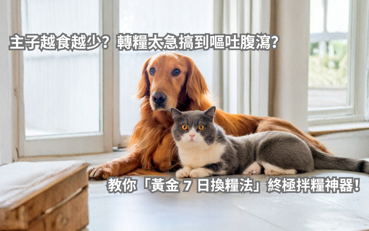 【拒食大作戰】黃金 7 日換糧法與終極拌糧神器！
