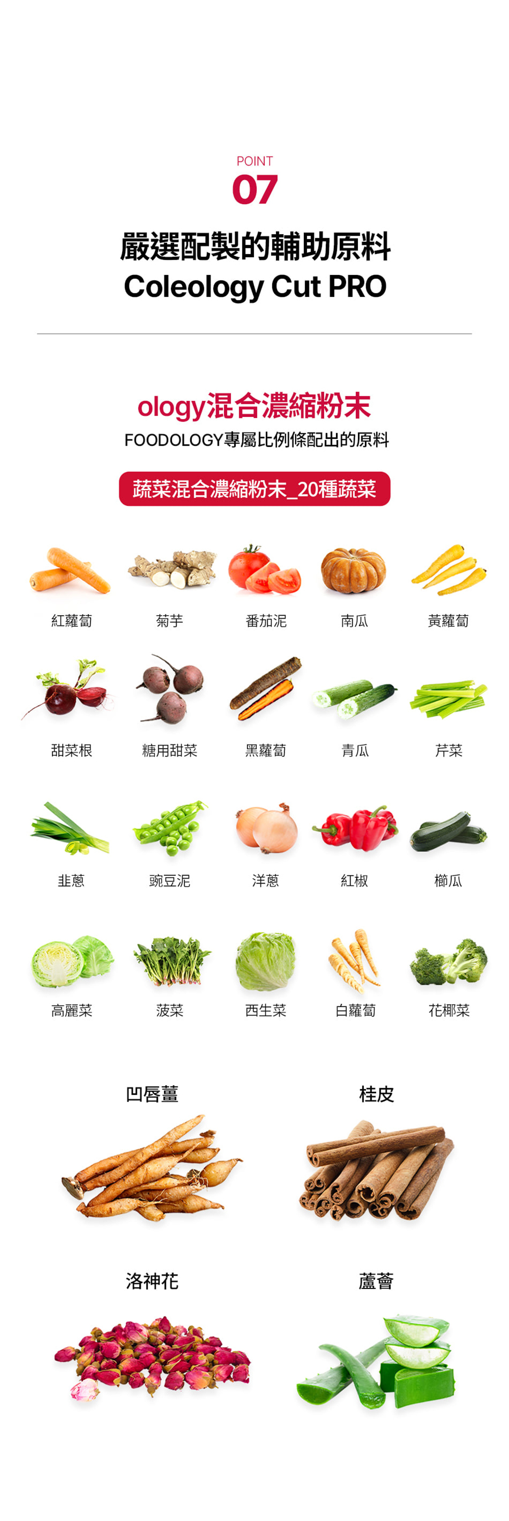 FOODOLOGY Coleology 植物纖體睡美片PRO 60粒