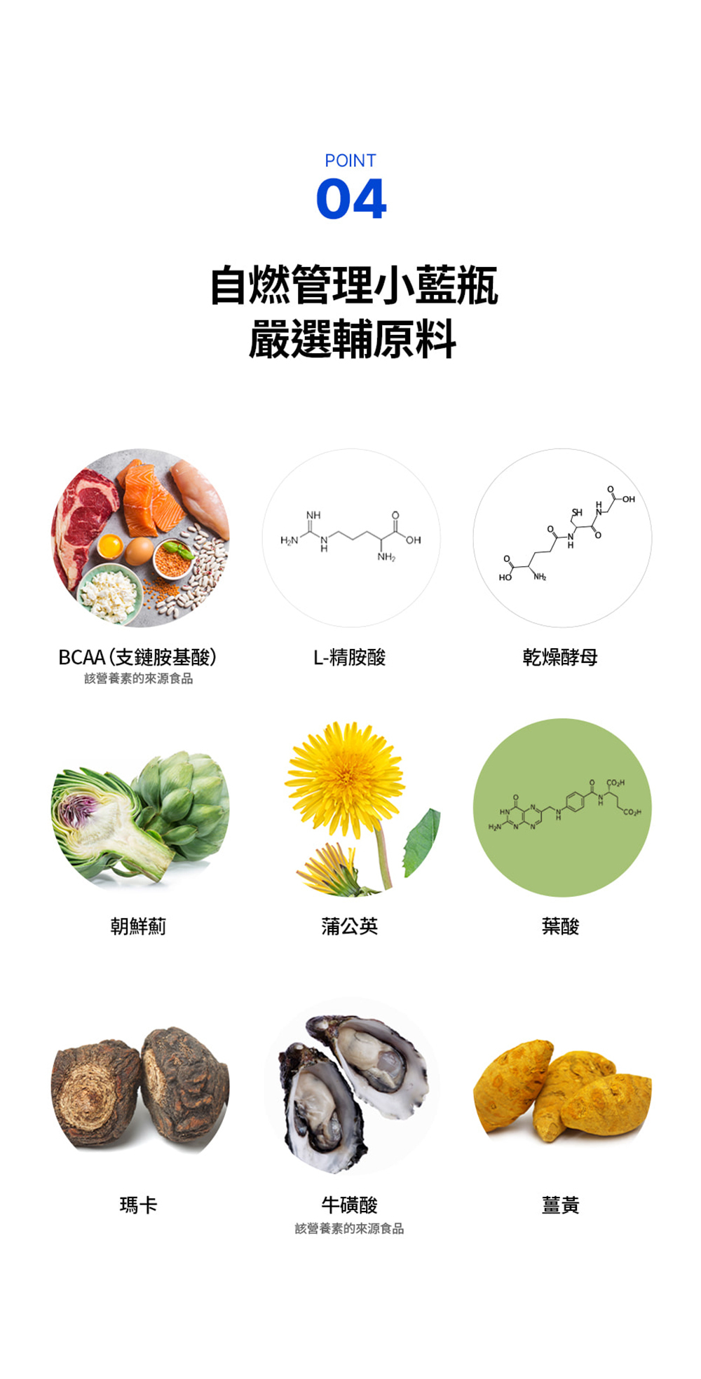 FOODOLOGY Manology Cut PRO 植物瘦身塑形丸 80粒