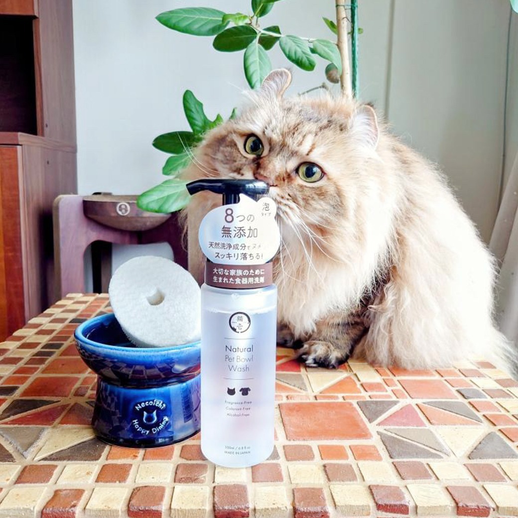 (日本製) 貓壹 Necoichi 天然(植物萃取)寵食器清潔泡泡 200ml