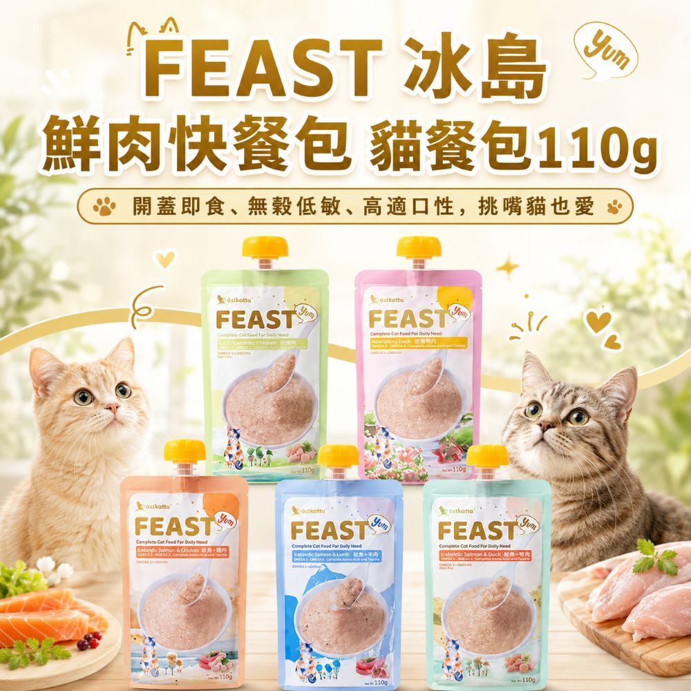 冰島 astkatta |FEAST 鮮肉快餐包 110g 貓咪主食餐包
