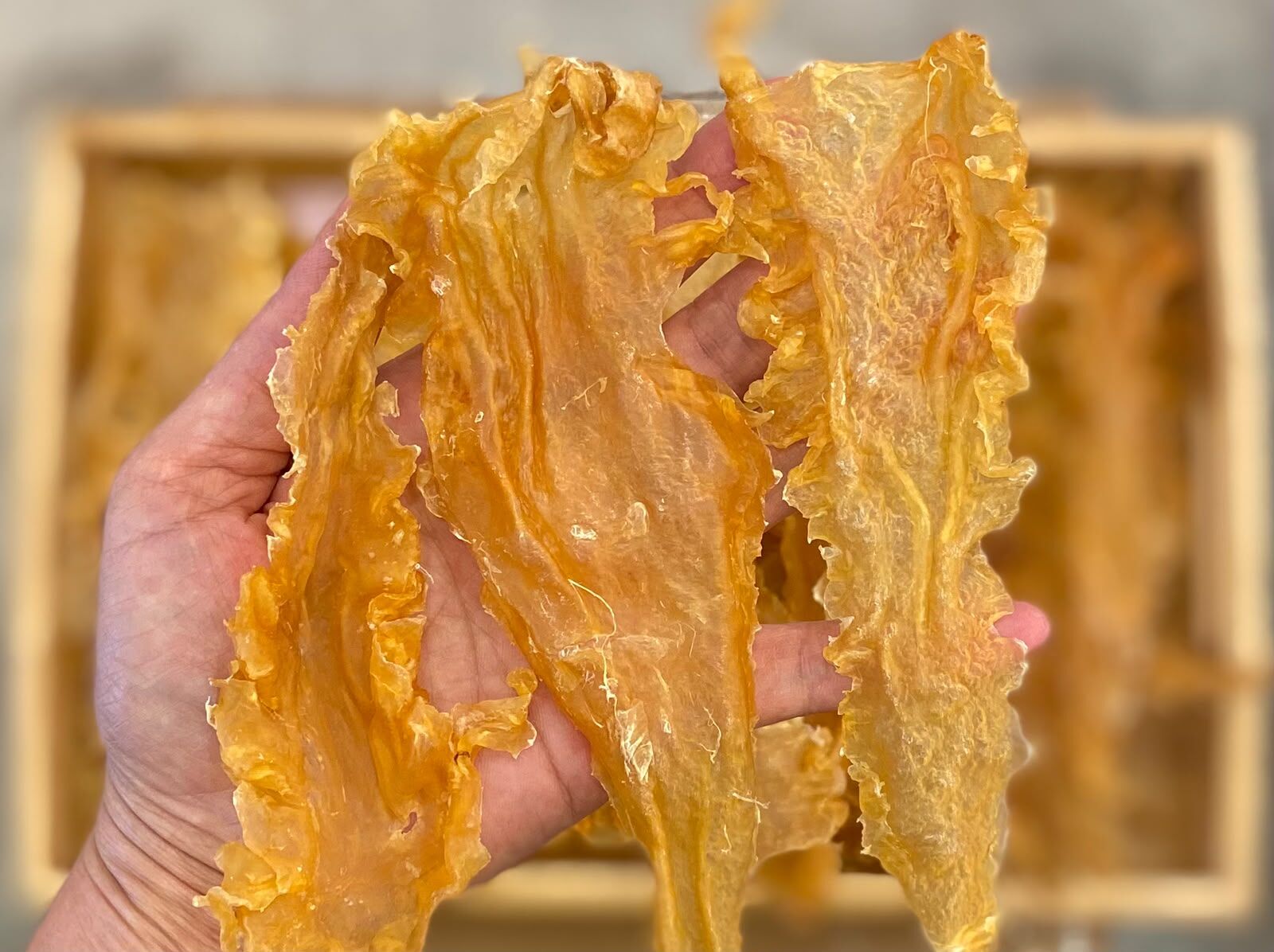 挪威-鱈魚膠300克