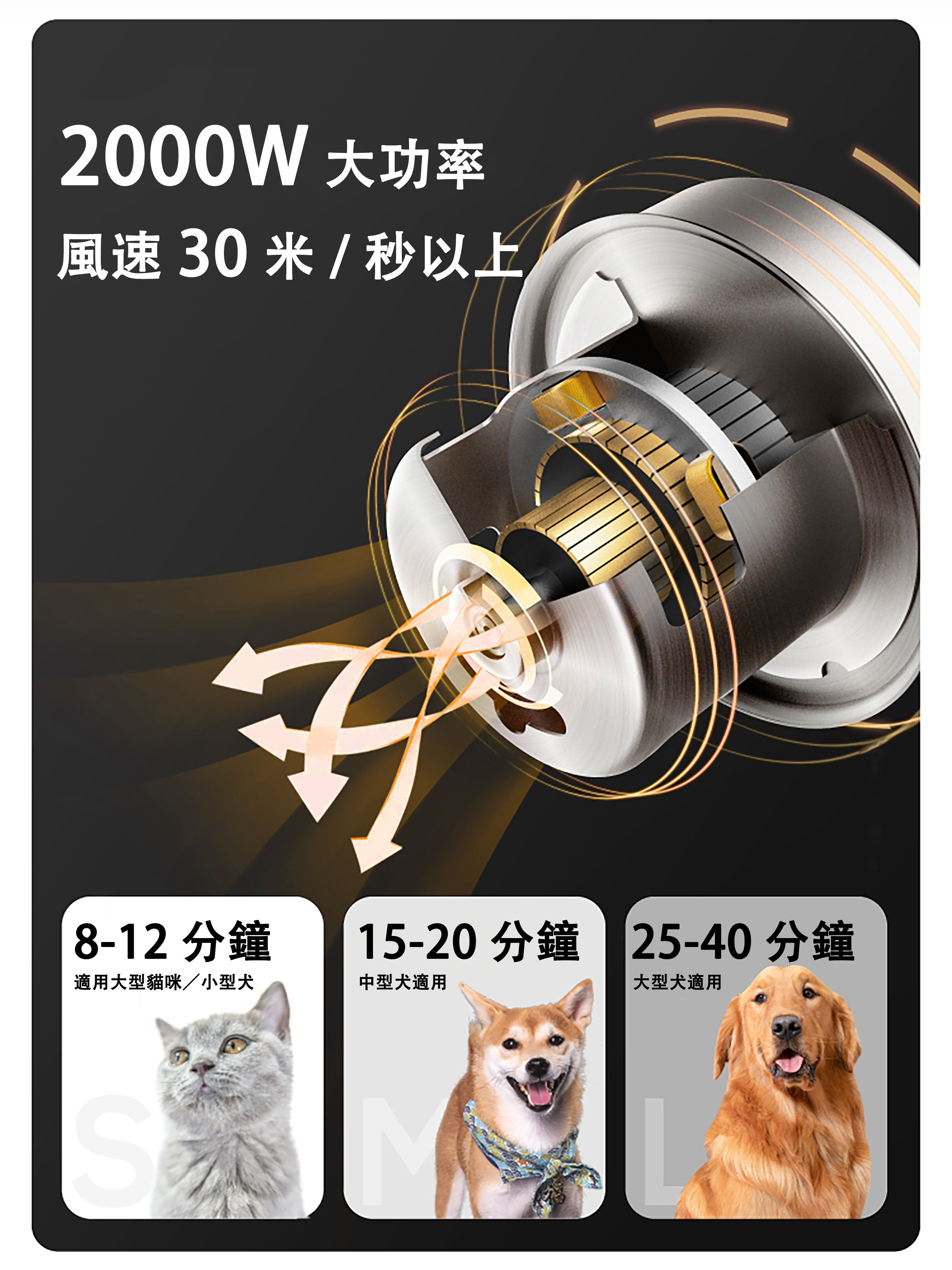 Petuity - All-in-One Pet Hair Grooming Machine | Cat & Dog Hair Dryer  Drying + Negative Ion Smoothing + Styling + Loose Fur Suction, Get Salon-Level Pet Grooming at Home