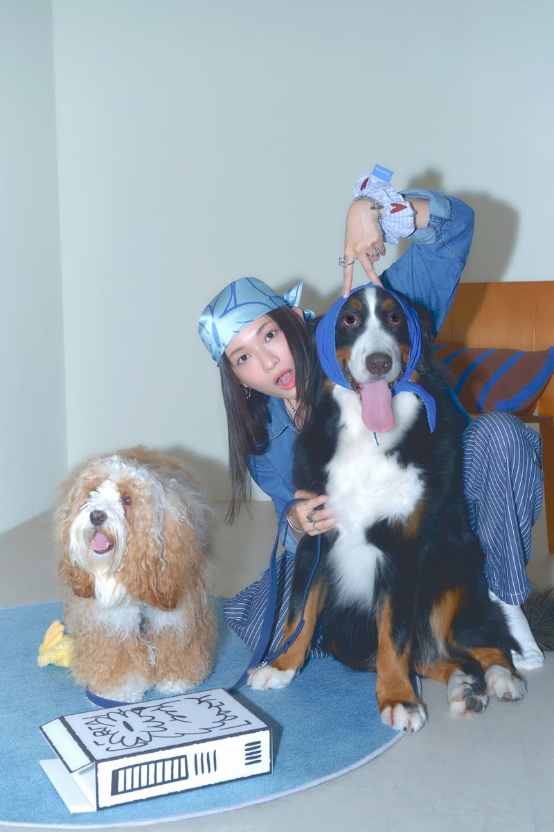 女生綁著淺藍方巾，身旁的伯恩山犬綁著深藍色雛菊領巾
