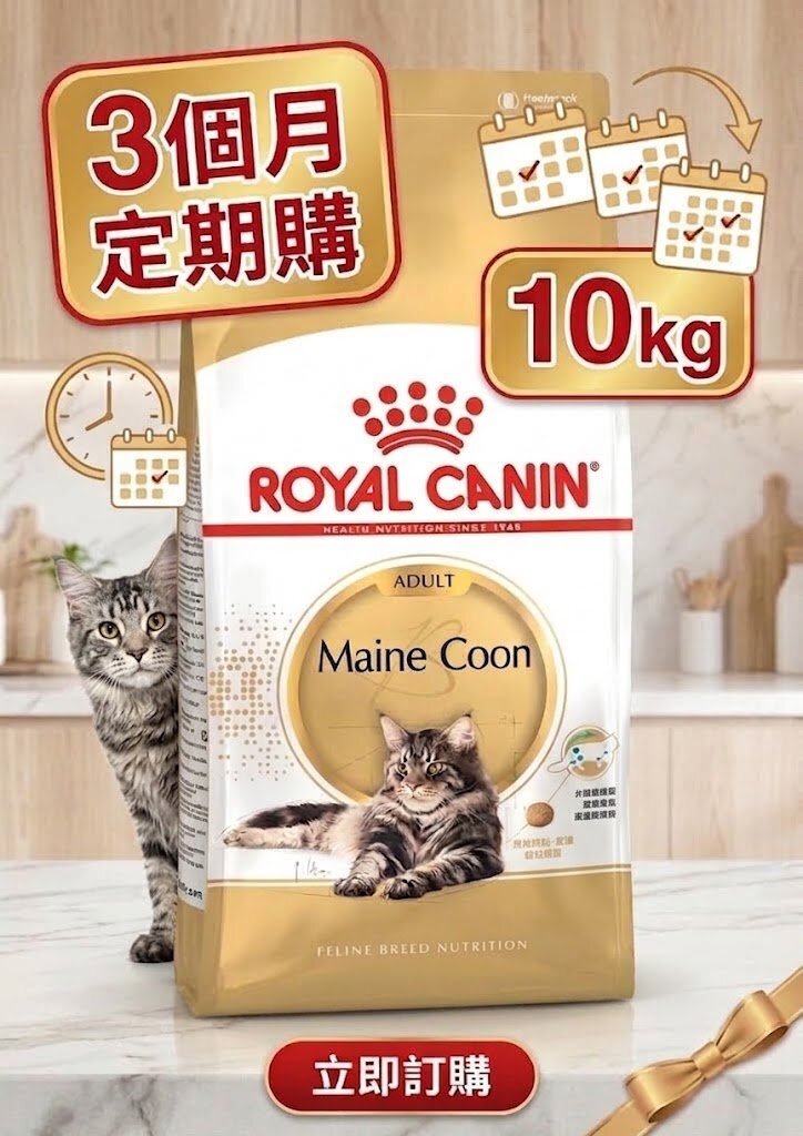 Royal Canin MCO 純種系列 緬因成貓專屬配方10kg【定期購 - 3個月】