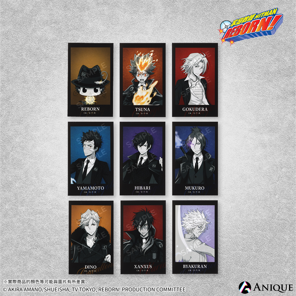 《家庭教師HITMAN REBORN!》【覺悟】隨機迷你寫真卡（全9款）單品