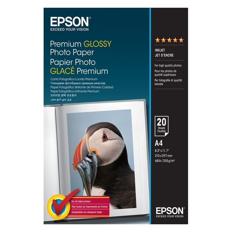 C13S041287 Epson Premium Glossy Photo Paper A4 (20)