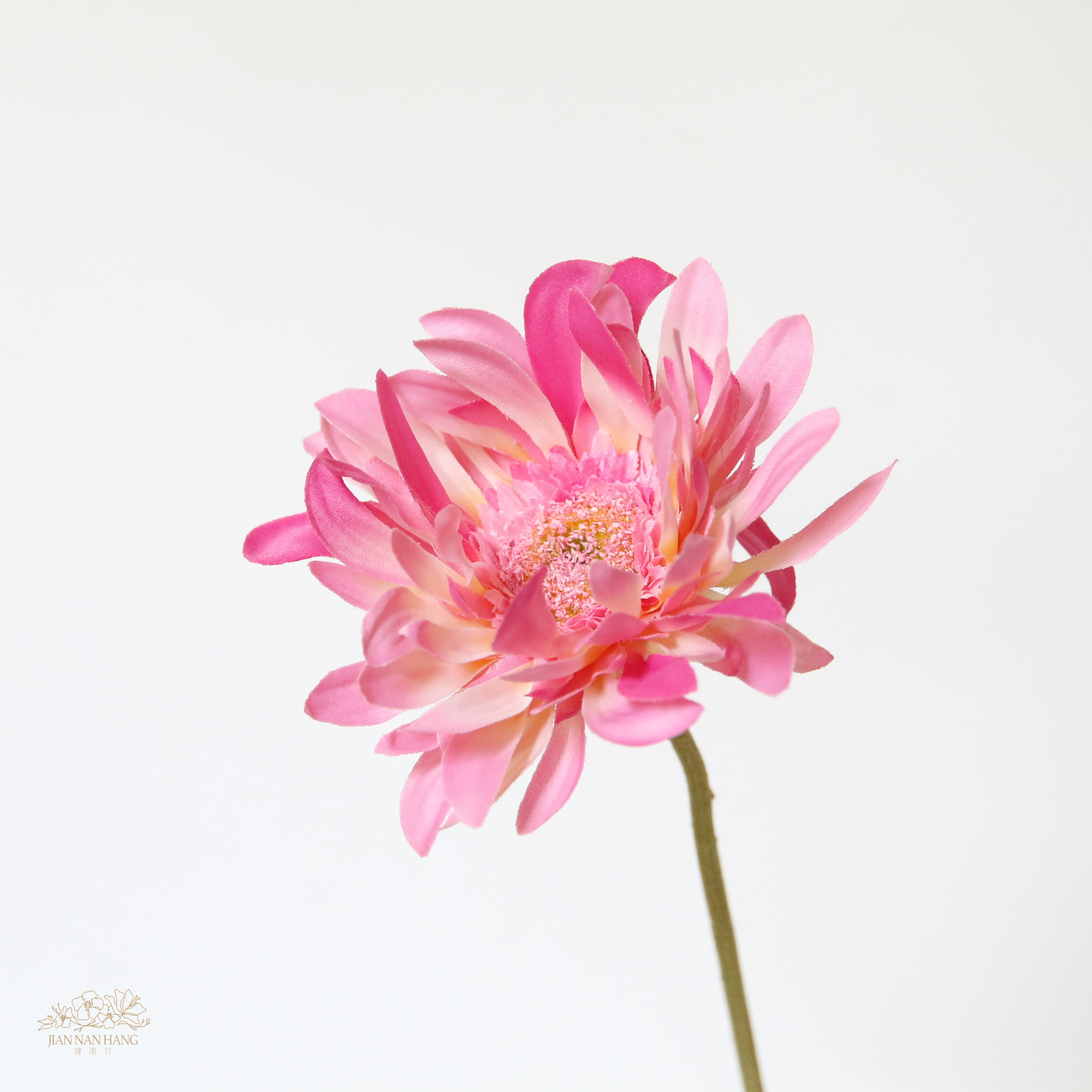 人造花 非洲菊 粉