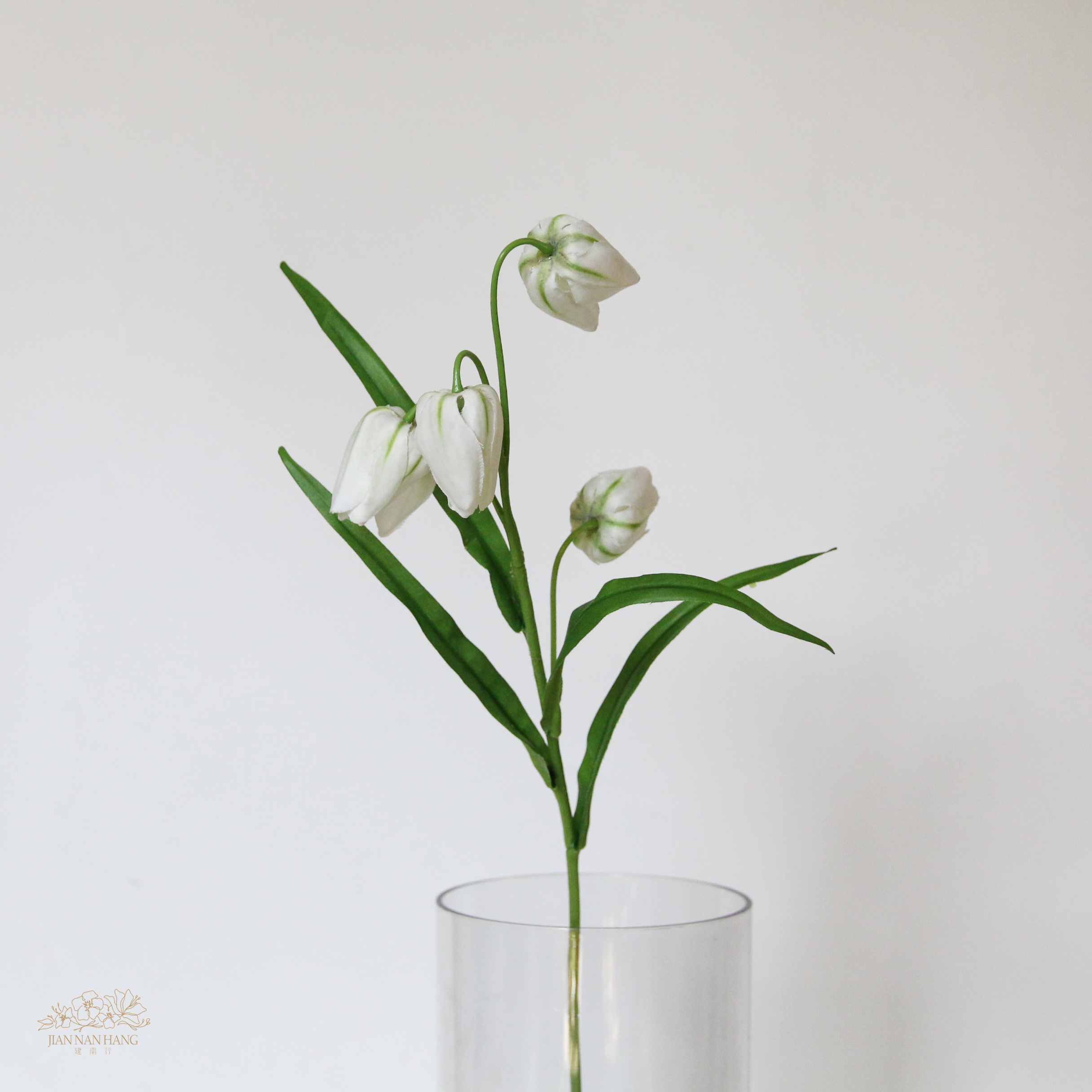 人造花 貝母 白