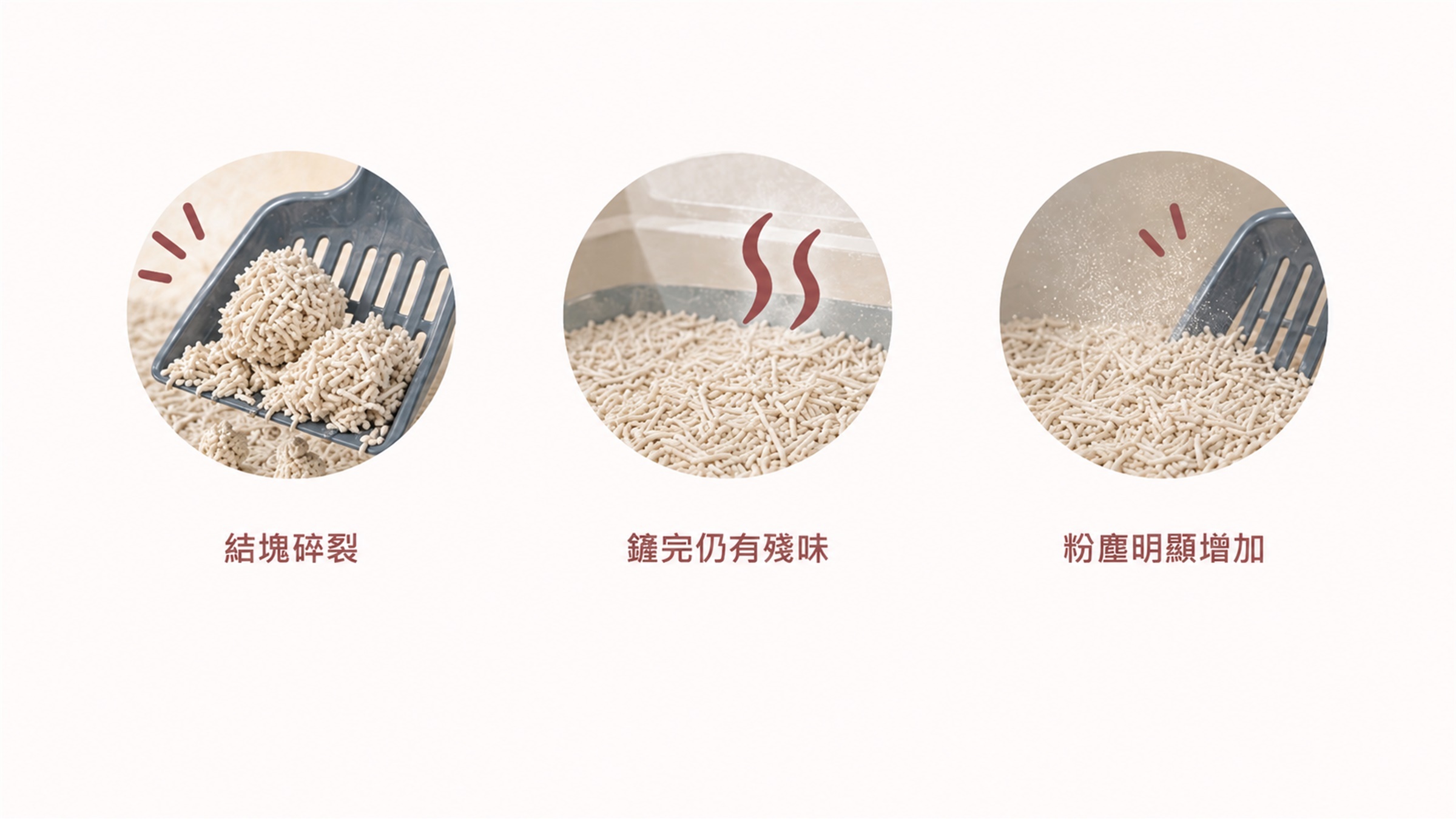 貓砂需要整盆更換的三個訊號:結塊碎裂、殘味與粉塵