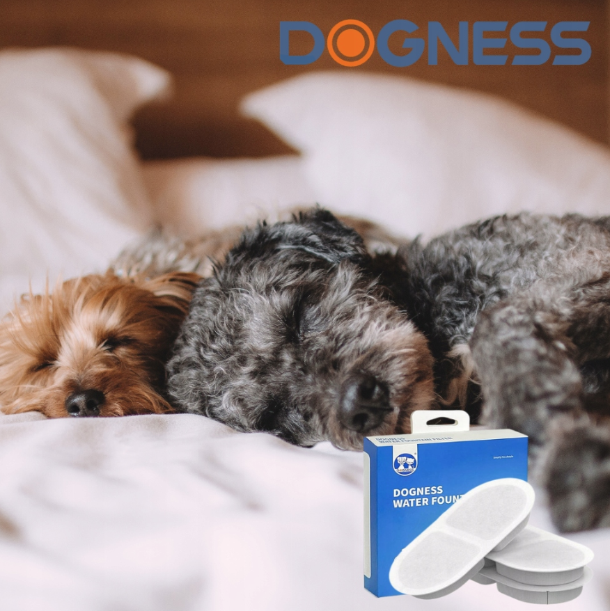 Dogness 自動飲水器 過濾芯．3pcs