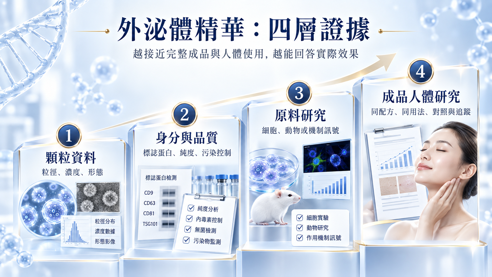 外泌體報告四層證據圖