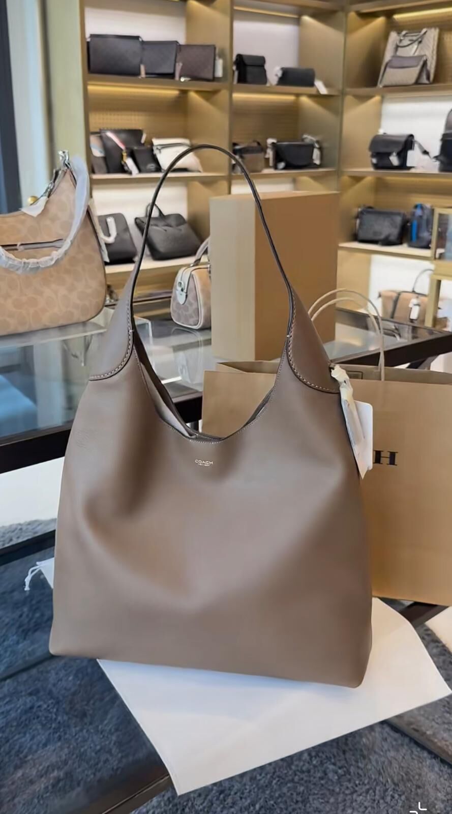 LYS02638 COACH Brooklyn 39 bag