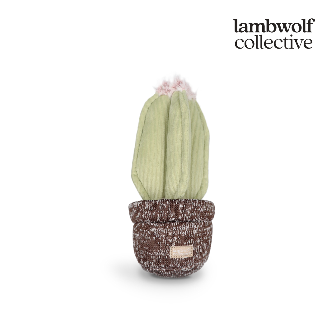 Lambwolf Collective 仙人掌