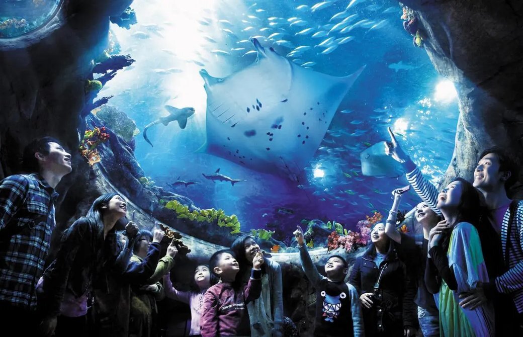 海洋公園海洋奇觀水族館