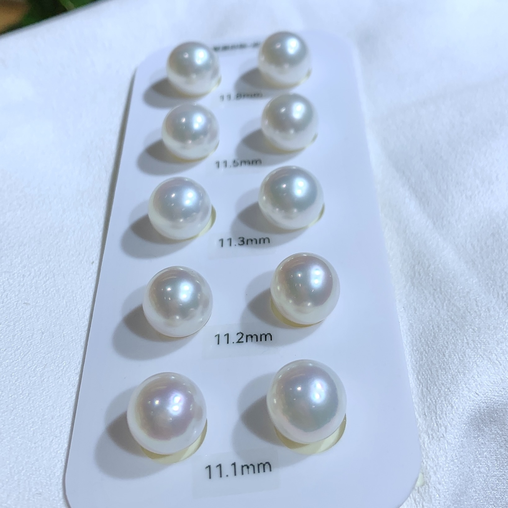 Near Round South Sea White Pearl Earrings