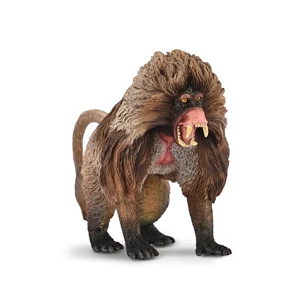 【永曄】collectA 獅尾狒~英國高擬真模型-R80066