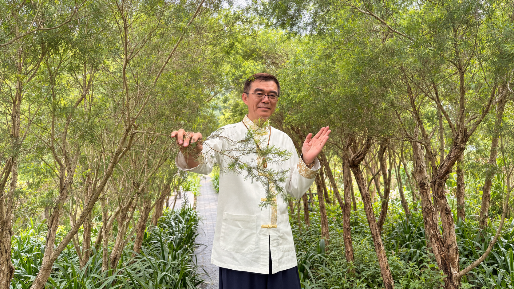 王老師站在澳洲茶樹林間
