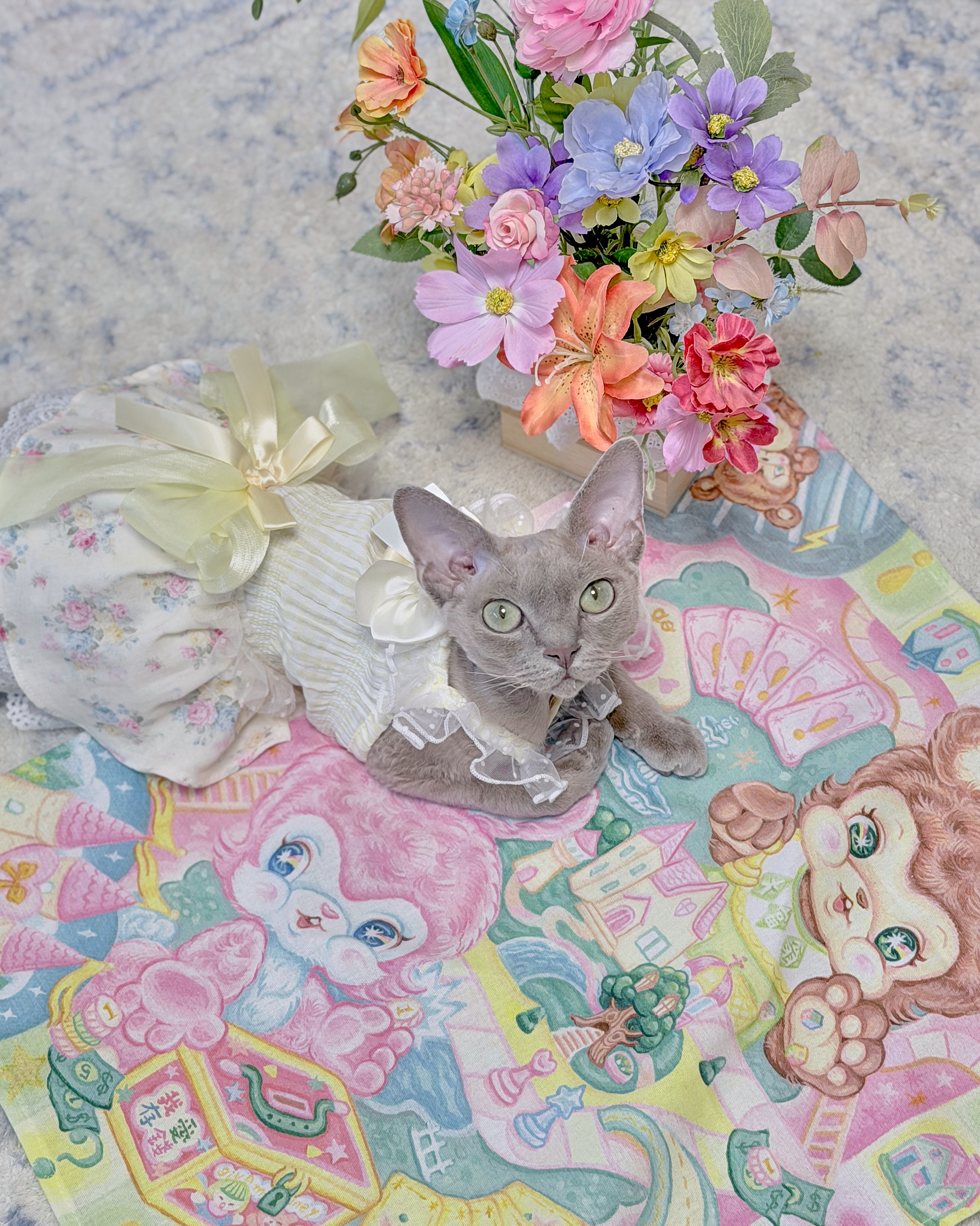 14038 Matching Pet Dress