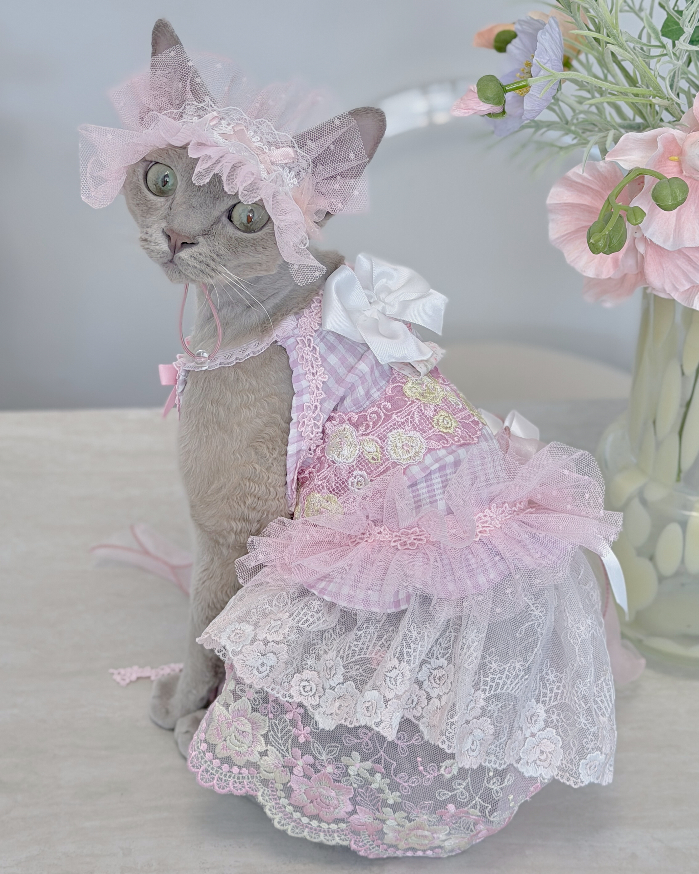 14037 Matching Pet Dress & Headband