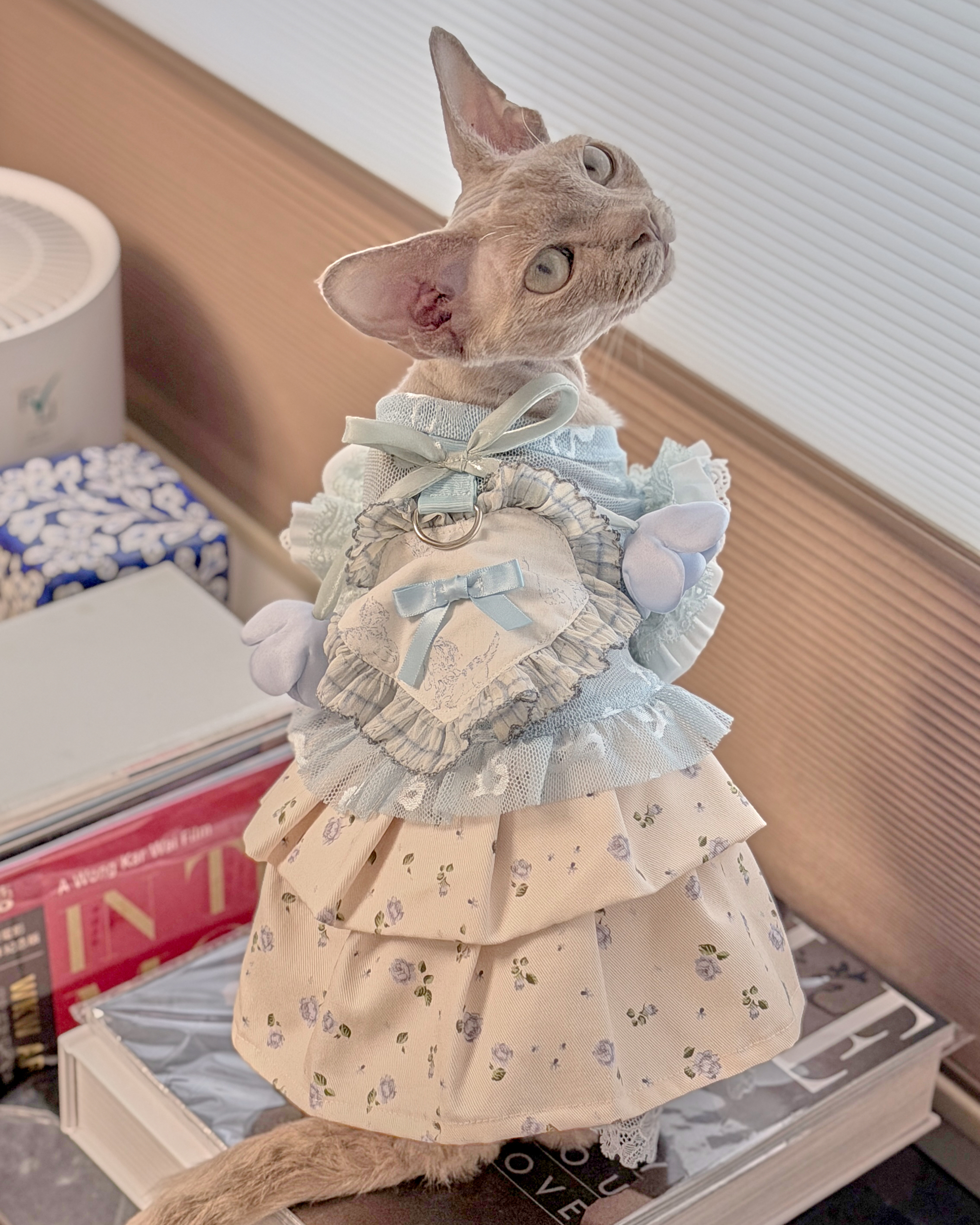 14036 Matching Pet Dress
