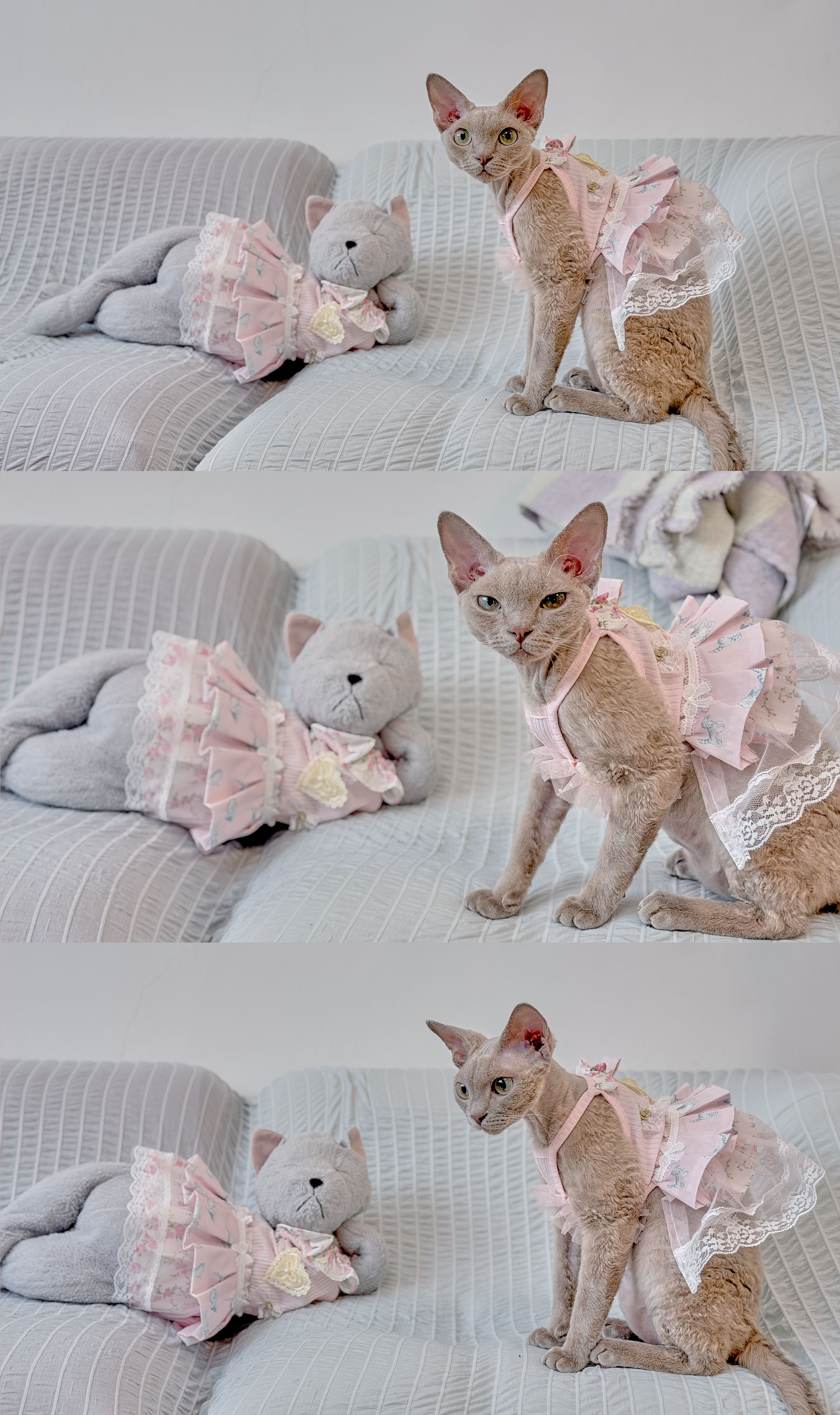 14034 Matching Pet Dress