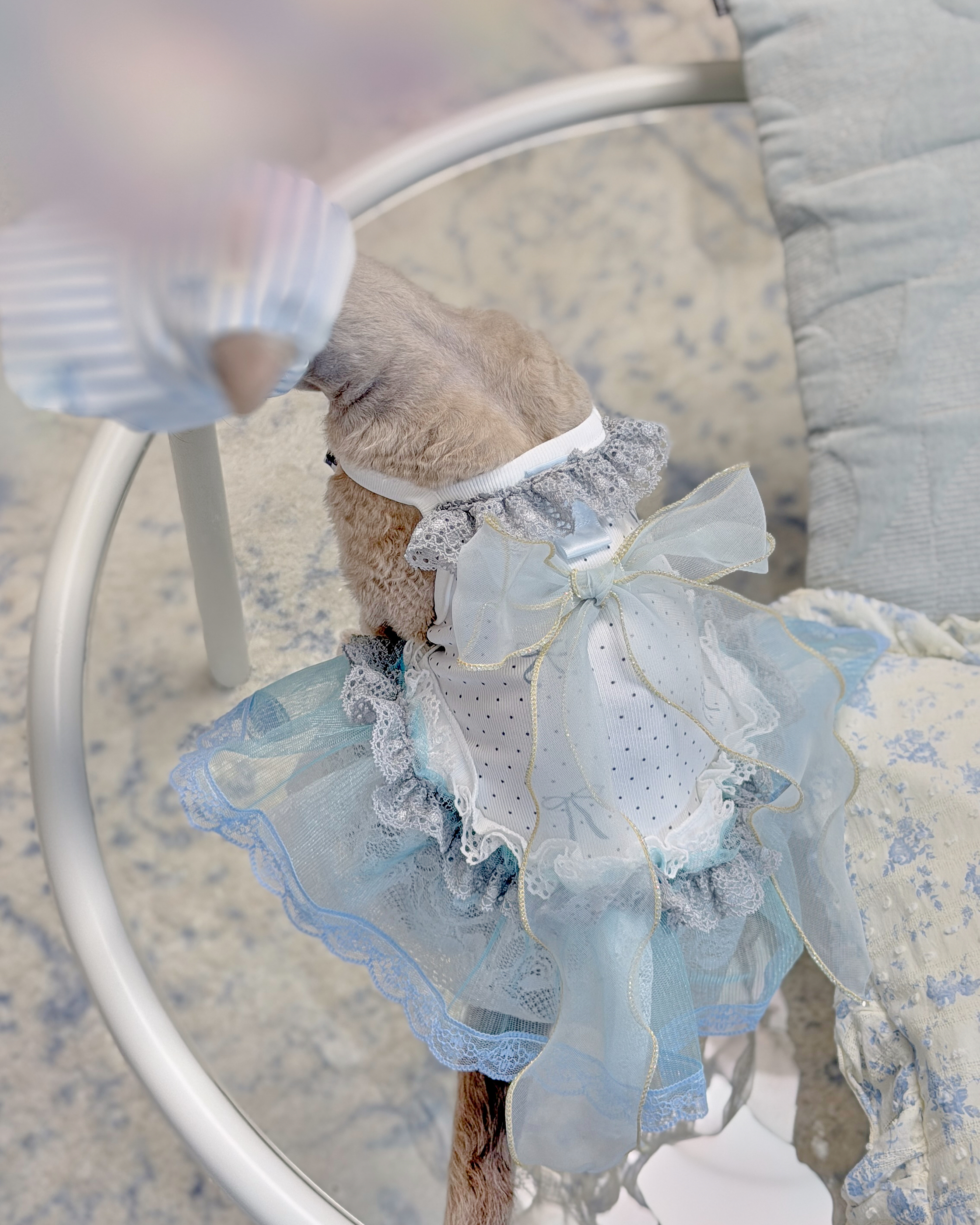 14033 Matching Pet Dress