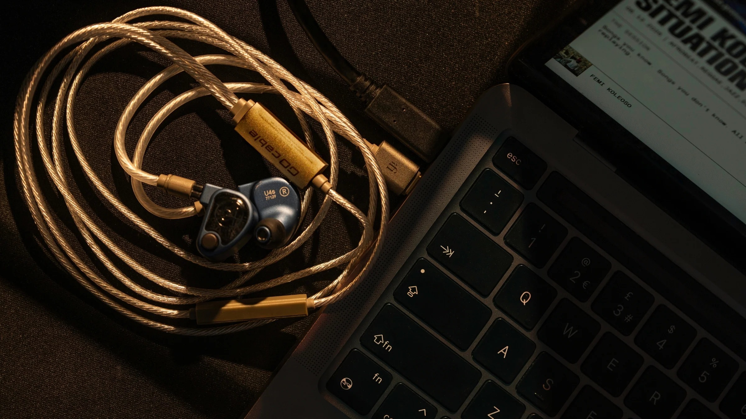ifi go cable DAC Hi-Fi. Hidden in Plain Sight.