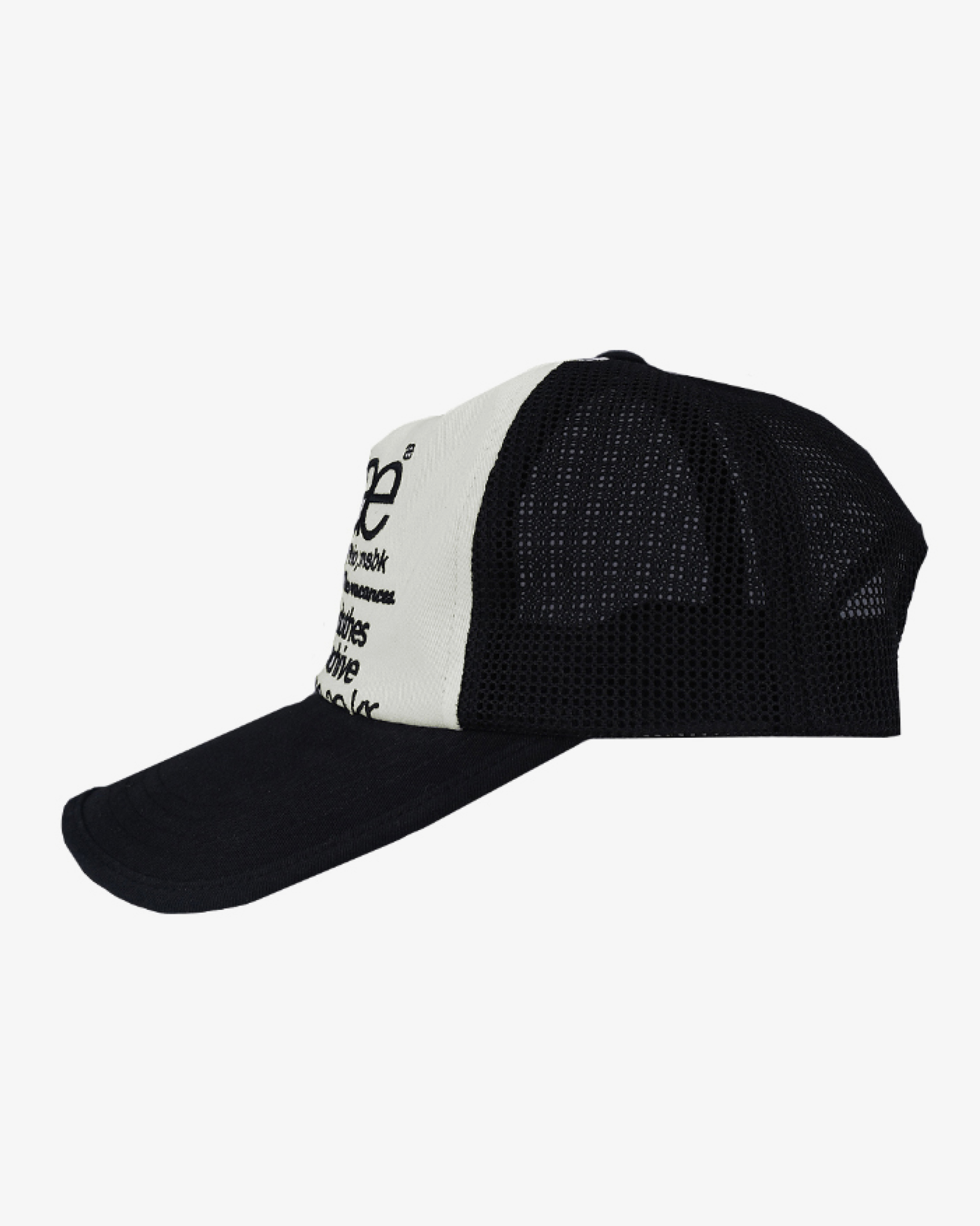 WEB LOGO MESH CAP
