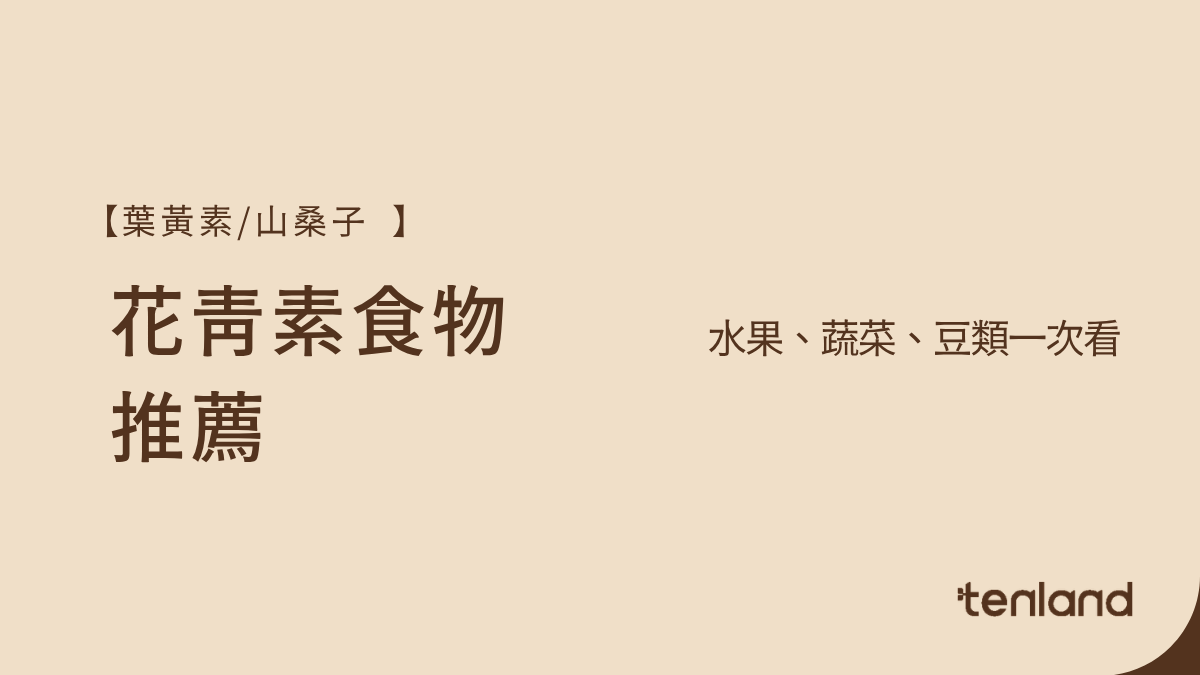 花青素食物