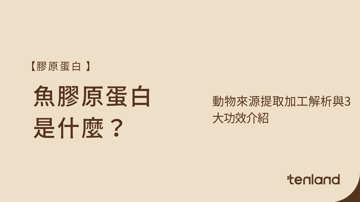 魚膠原蛋白功效