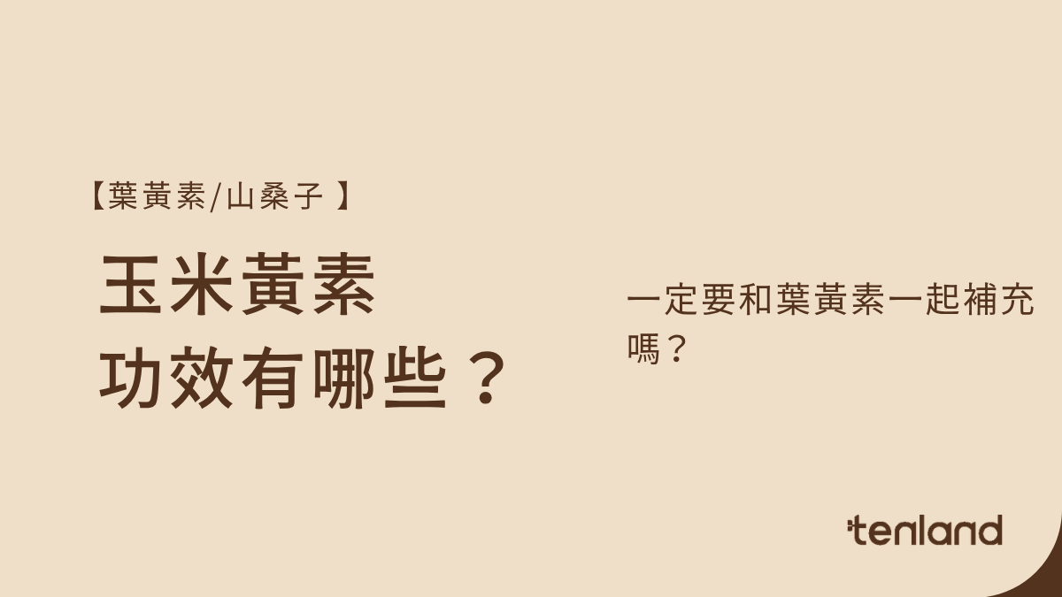 玉米黃素