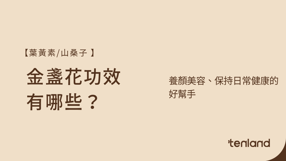 金盞花功效
