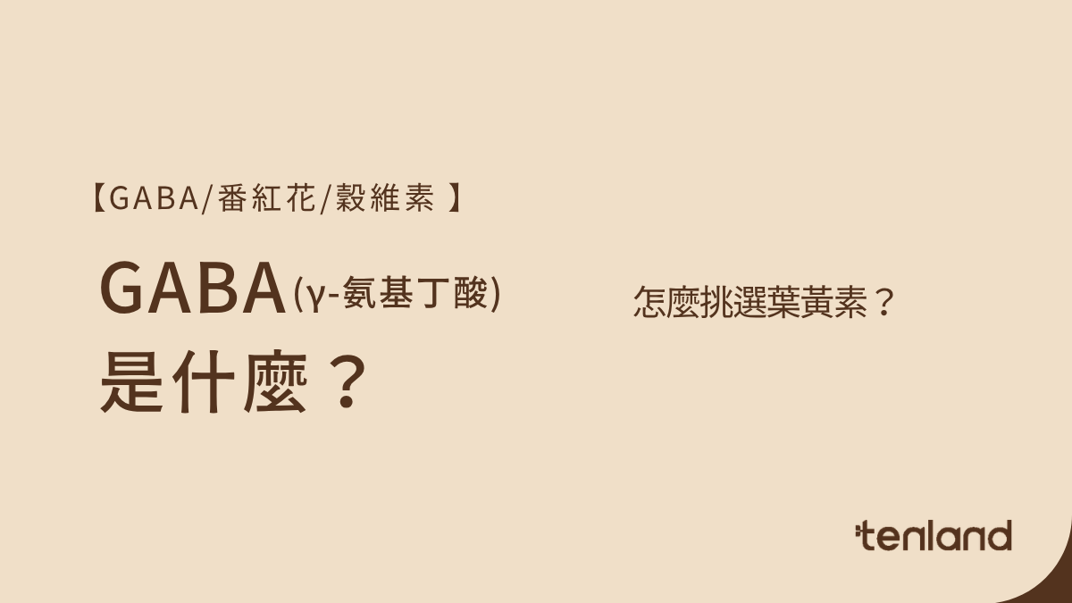 GABA是什麼