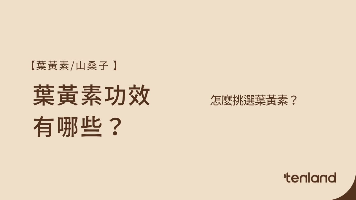 葉黃素功效