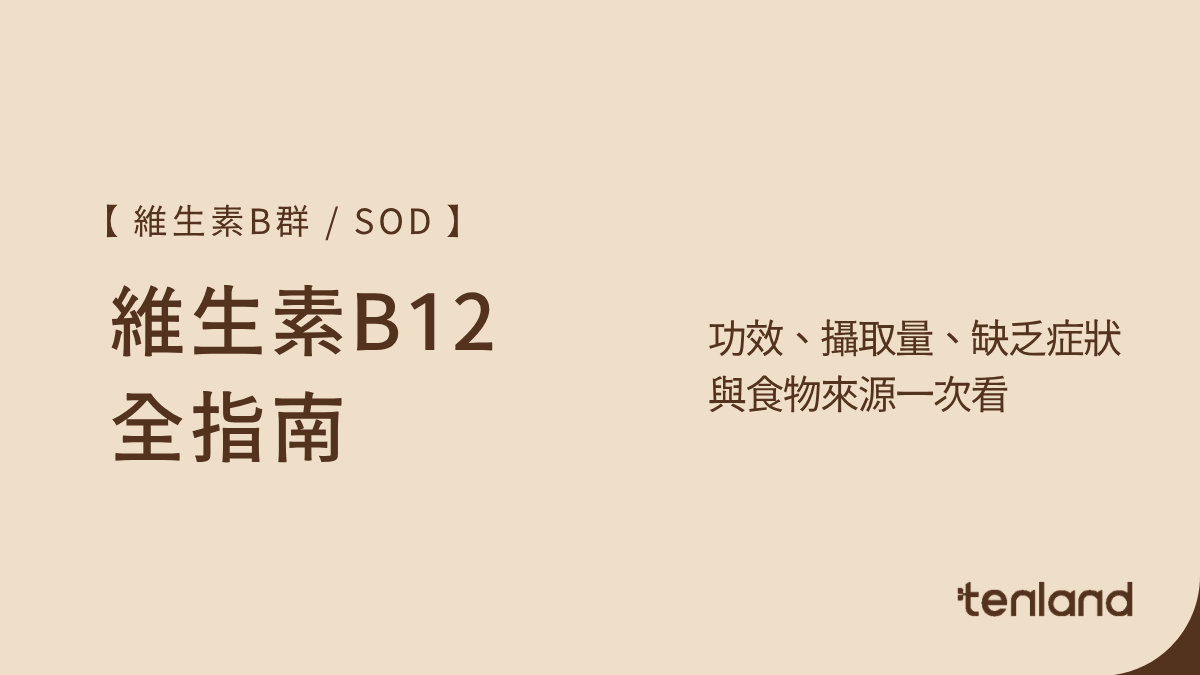 B12功效