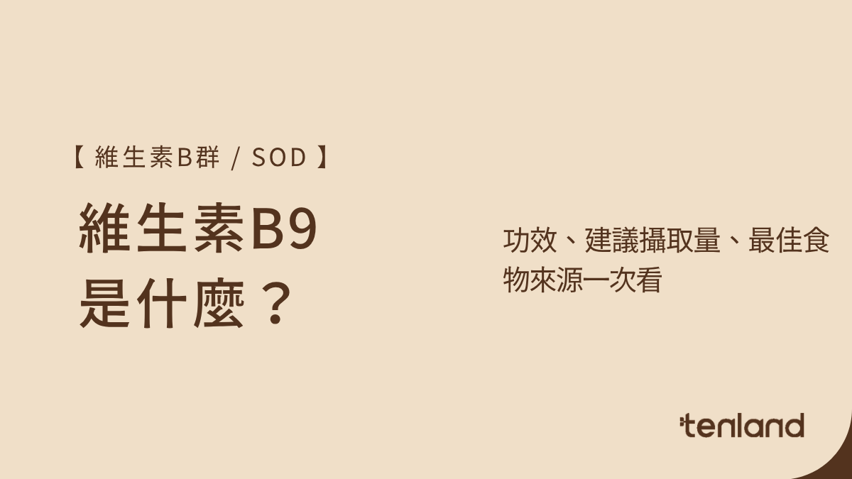 b9功效