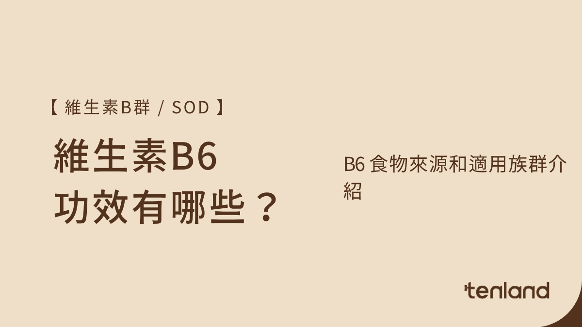 b6功效