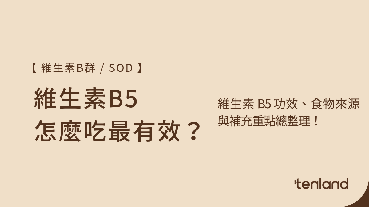 b5功效