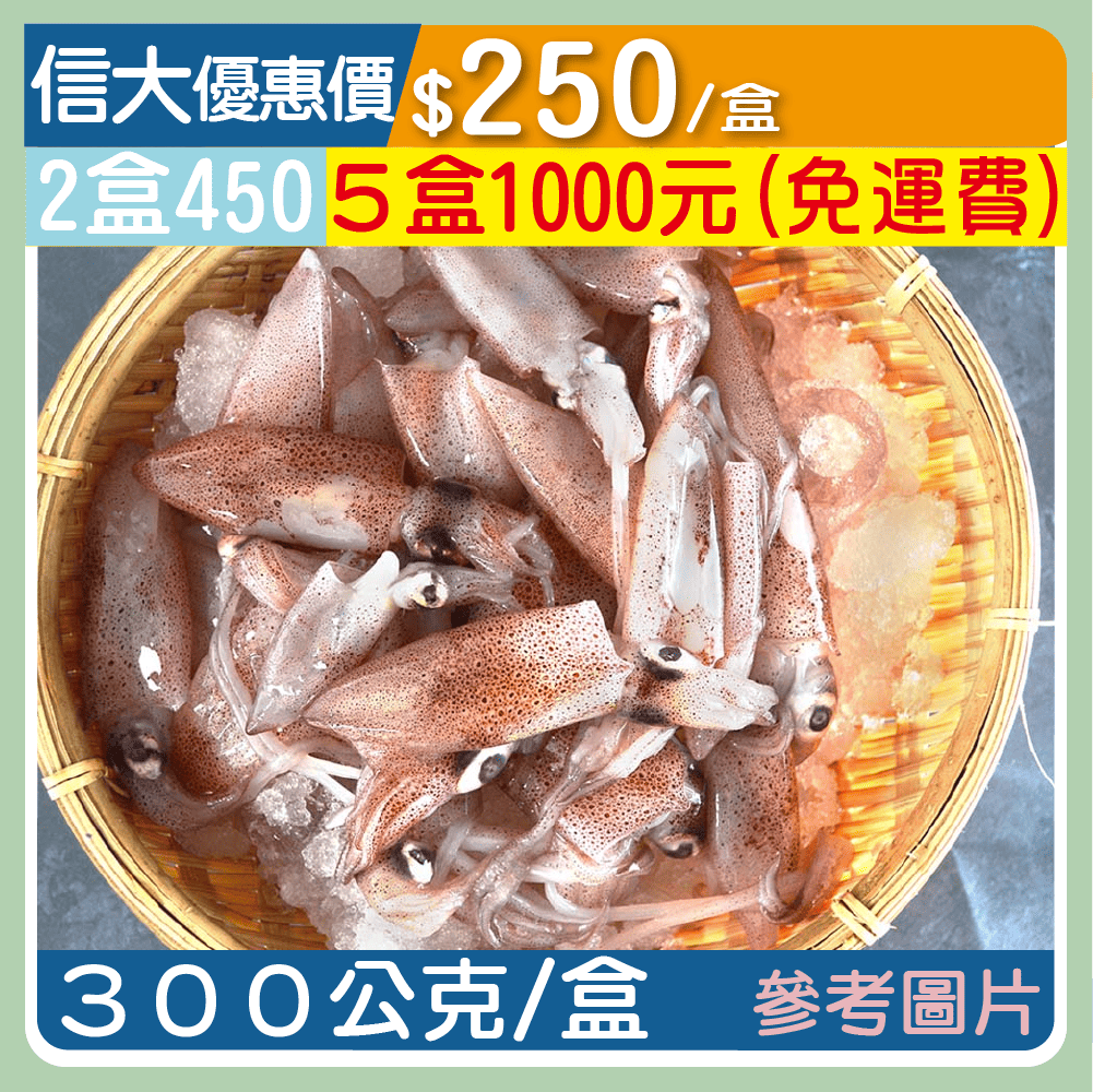 【崇文海鮮】基隆船凍生鮮小卷300g/盒
